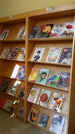 بخش نشریات